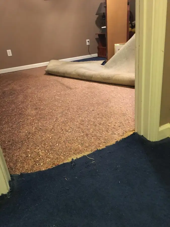 Carpet pad removal revealing water damage during Drying & Dehumidification in Chanute